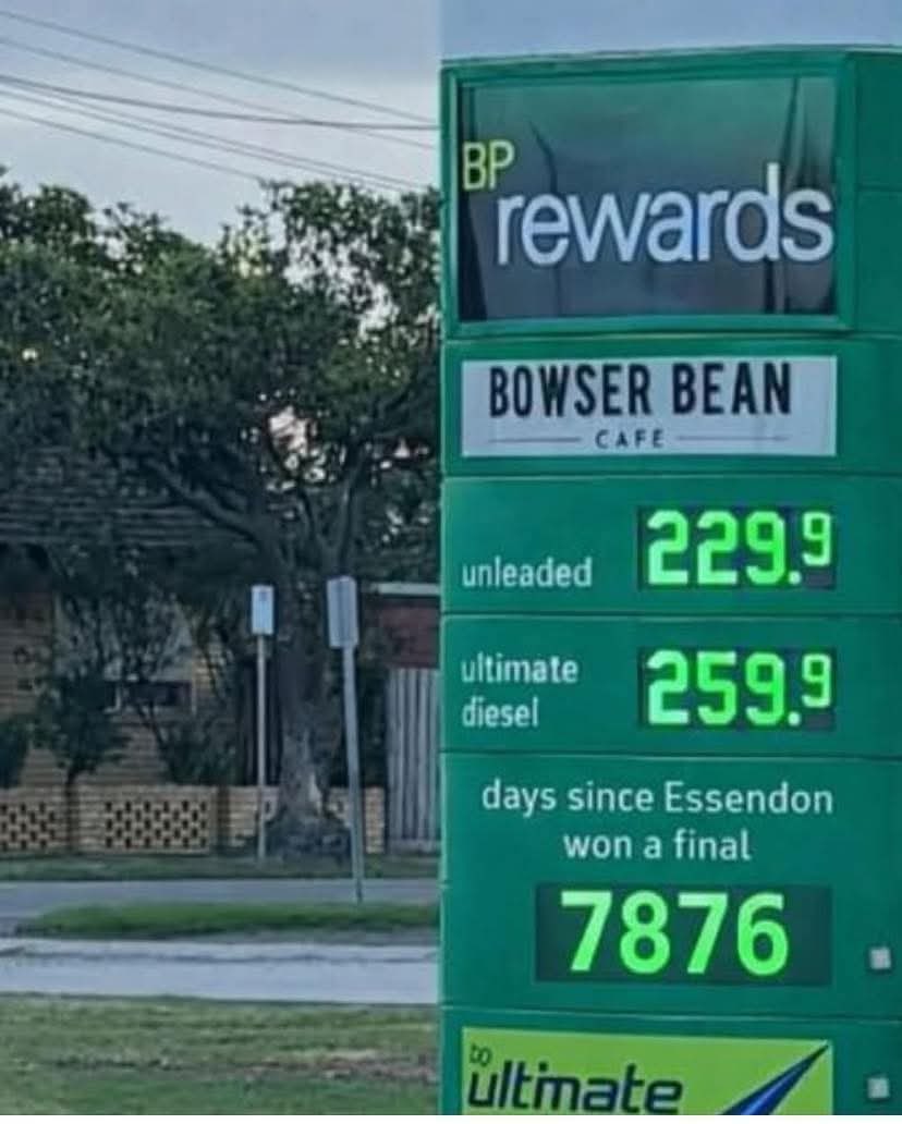 JAKE FLAGPIES23 🏆🖤🤍 tweet media