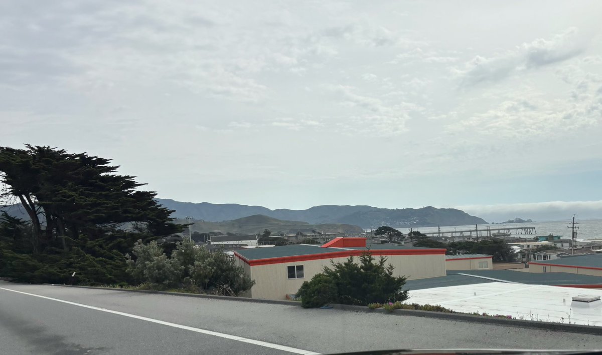 Se5234 🦋 ✝️ ❤️🩹 ☁️ tweet media