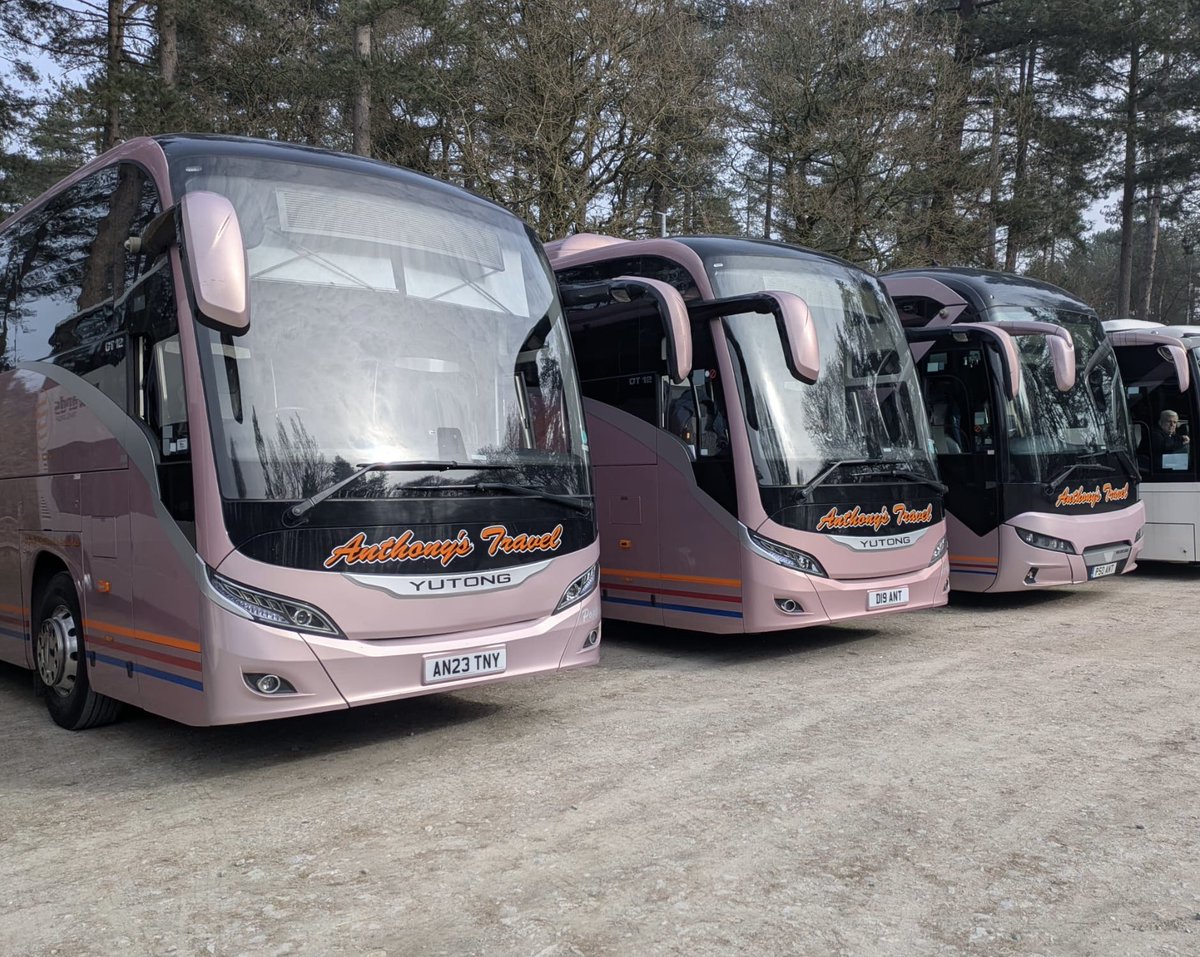 ANTHONYS TRAVEL tweet media