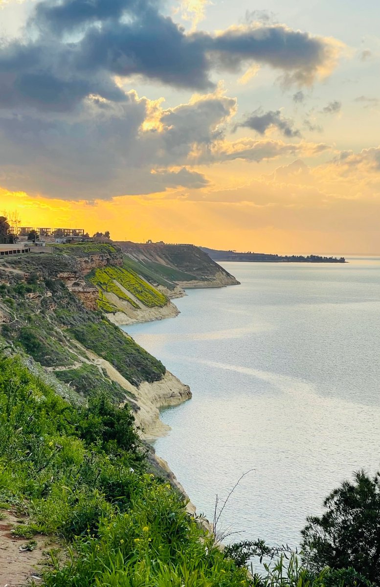 Akram Dandan tweet media