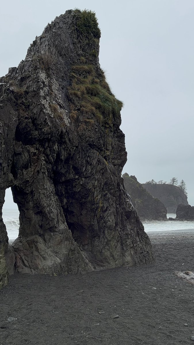 Marwan A. Almalki tweet media