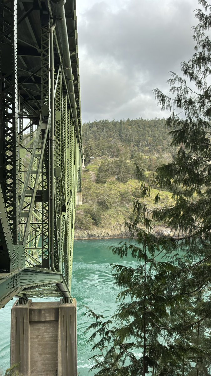 Marwan A. Almalki tweet media