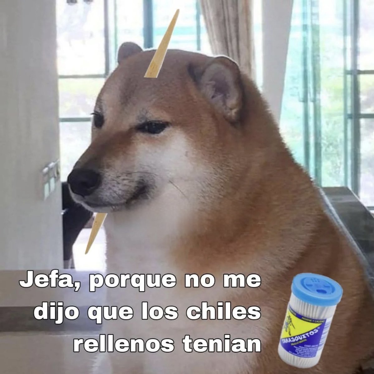 Mundo de Bigotes tweet media