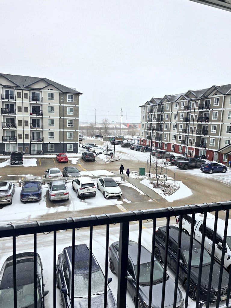 Winnipeg Daylight Tracker tweet media