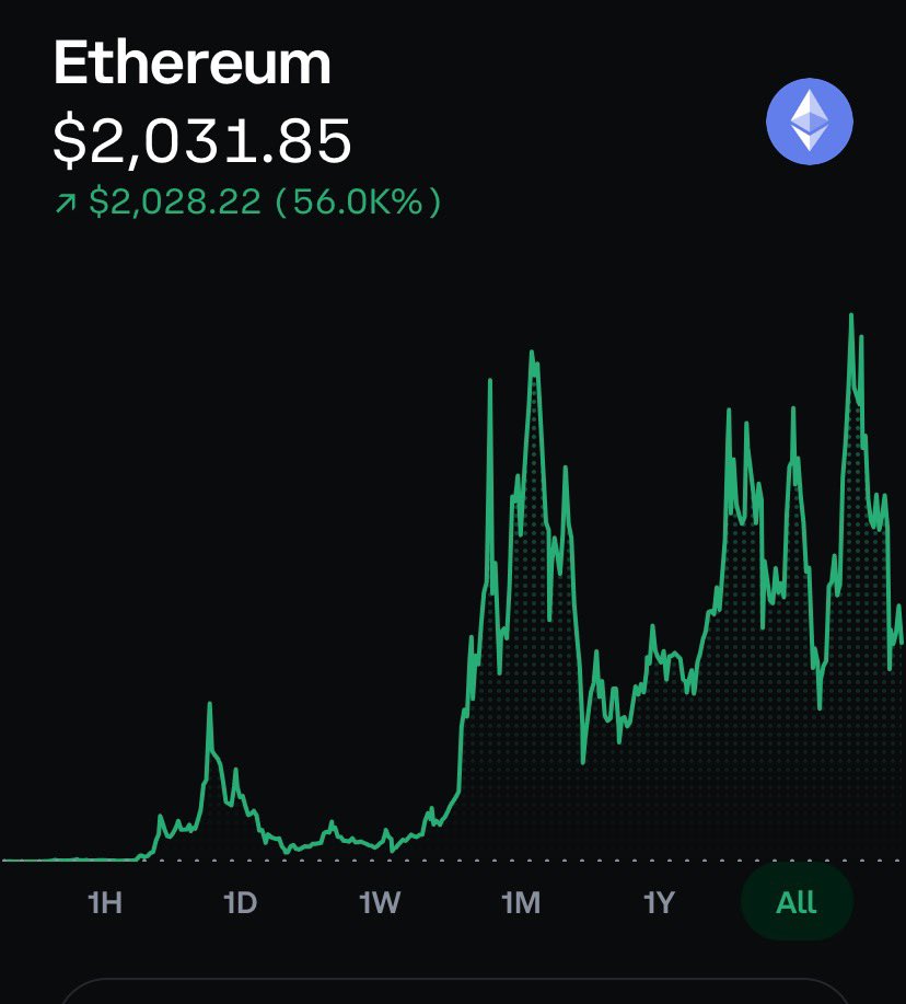 Digital Oil tweet media