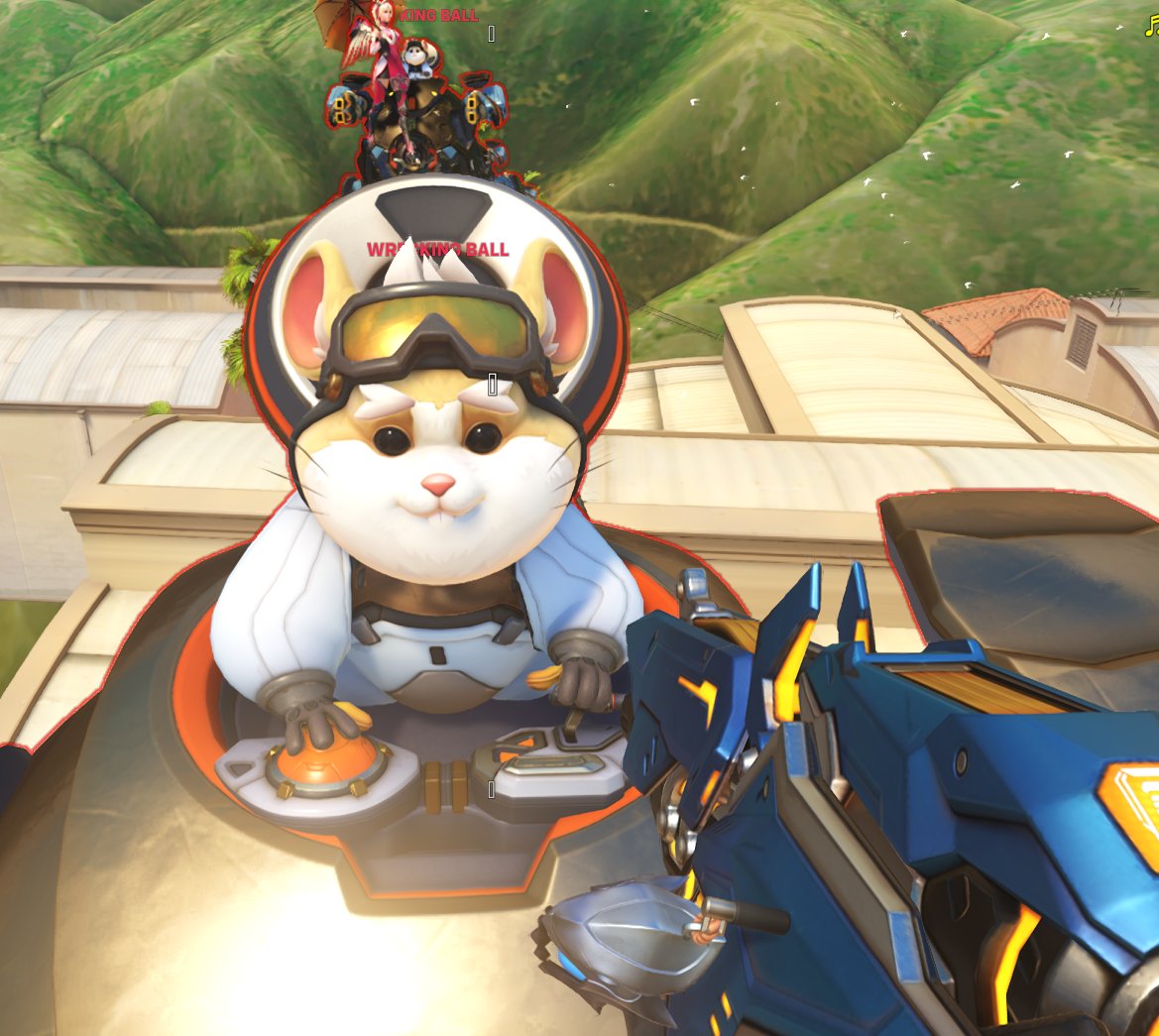 Cole 🍉 tweet media