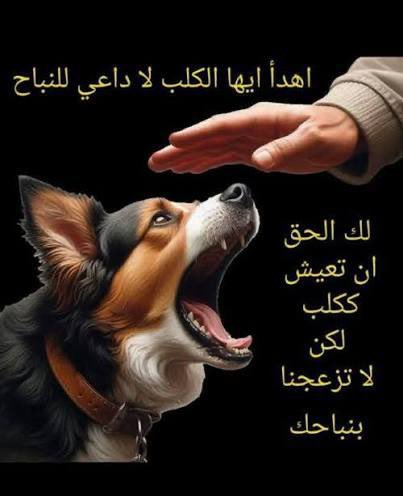 عبدالله tweet media