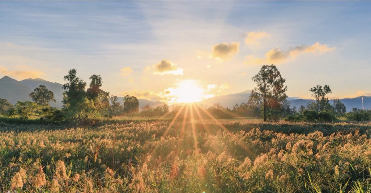 DD❤️/🕊️/DOGE tweet media