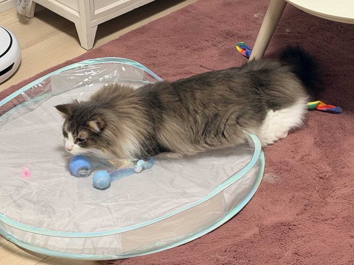 kiriくん tweet media