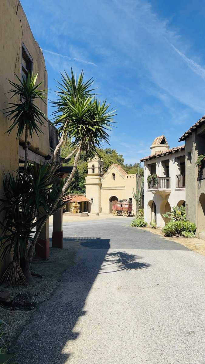 Universal HIGH 🌎 tweet media