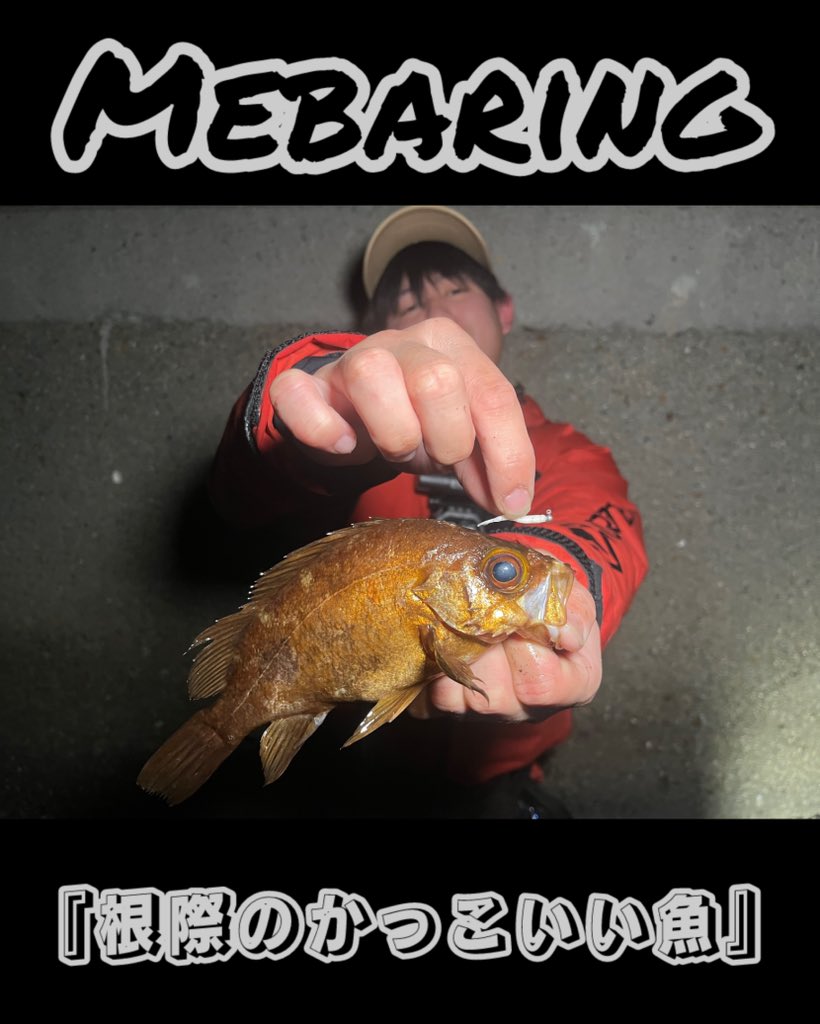 ヲカダ tweet media