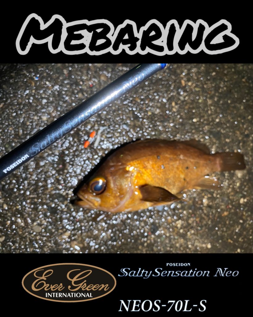 ヲカダ tweet media