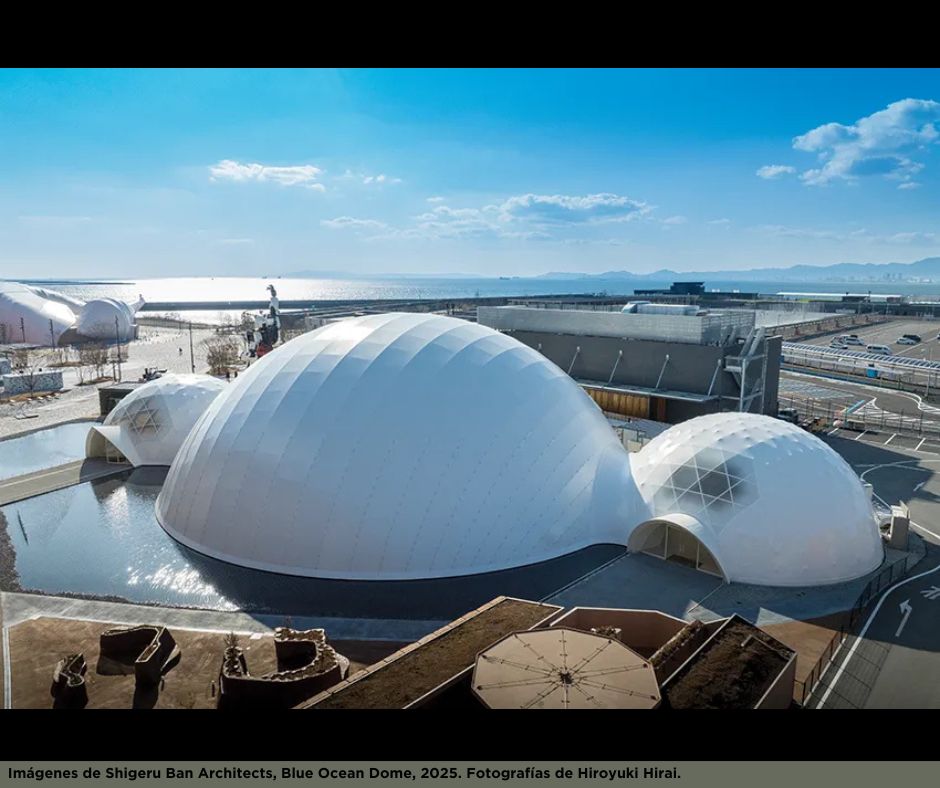 Universidad Humanitas tweet media