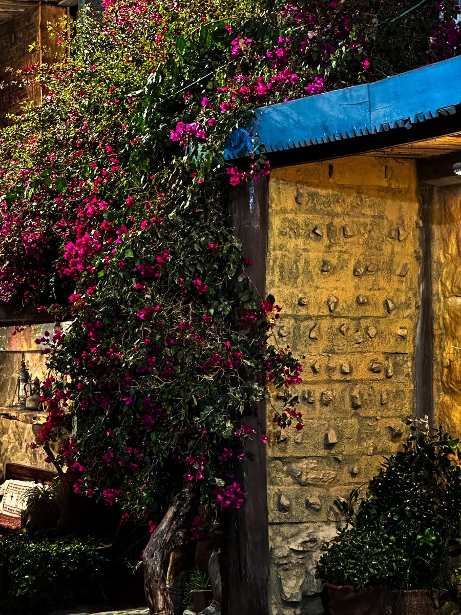 Abdul Latif bin Jory | عبداللطيف بن جعري tweet media