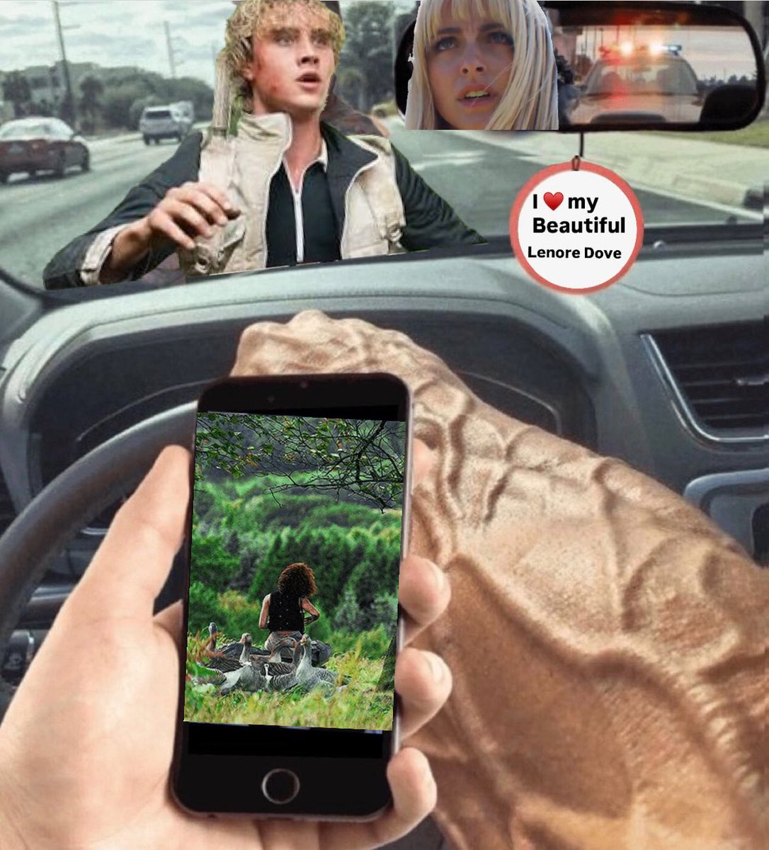 maydove thinker 💭 tweet media