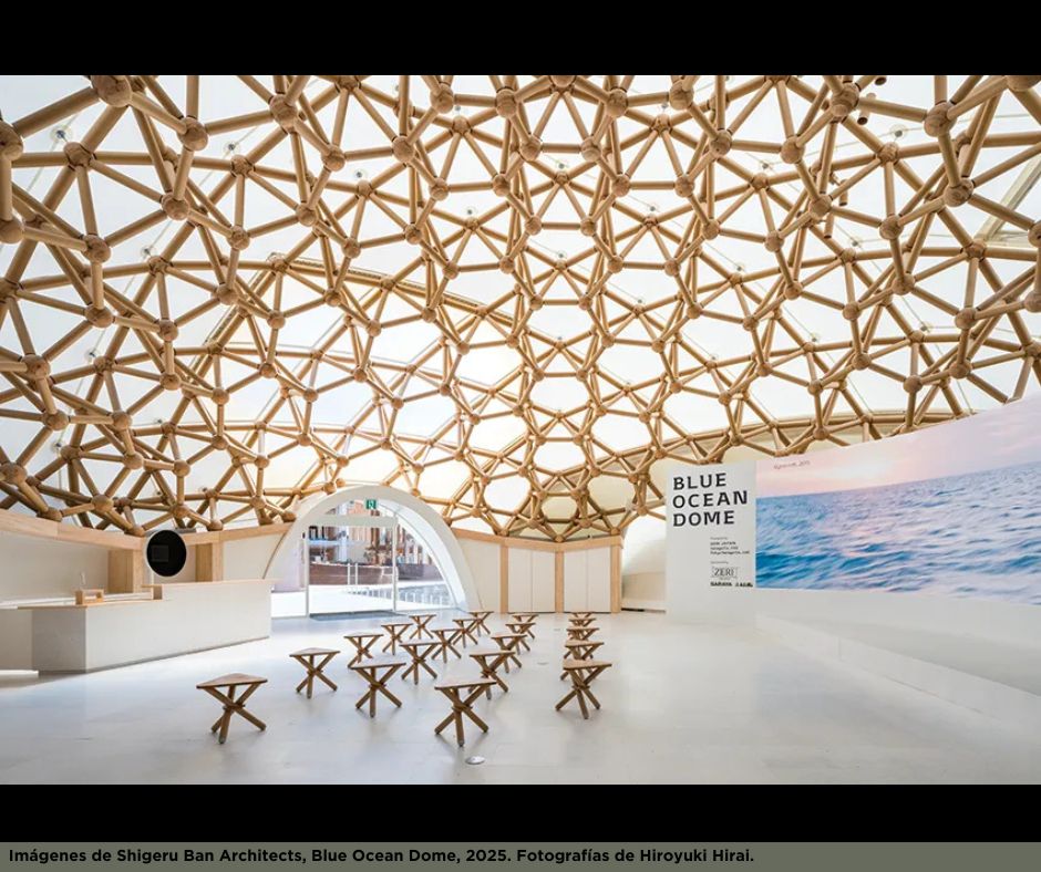 Universidad Humanitas tweet media