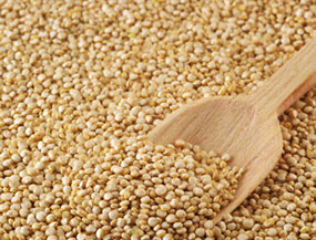 د. مشوح عبدالله المشوح tweet media