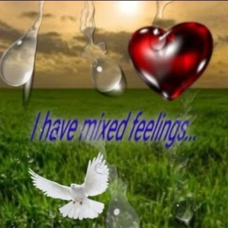 JAD ✴︎ tweet media