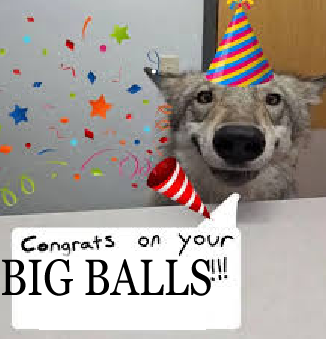 Billy Brocas @ FWA tweet media