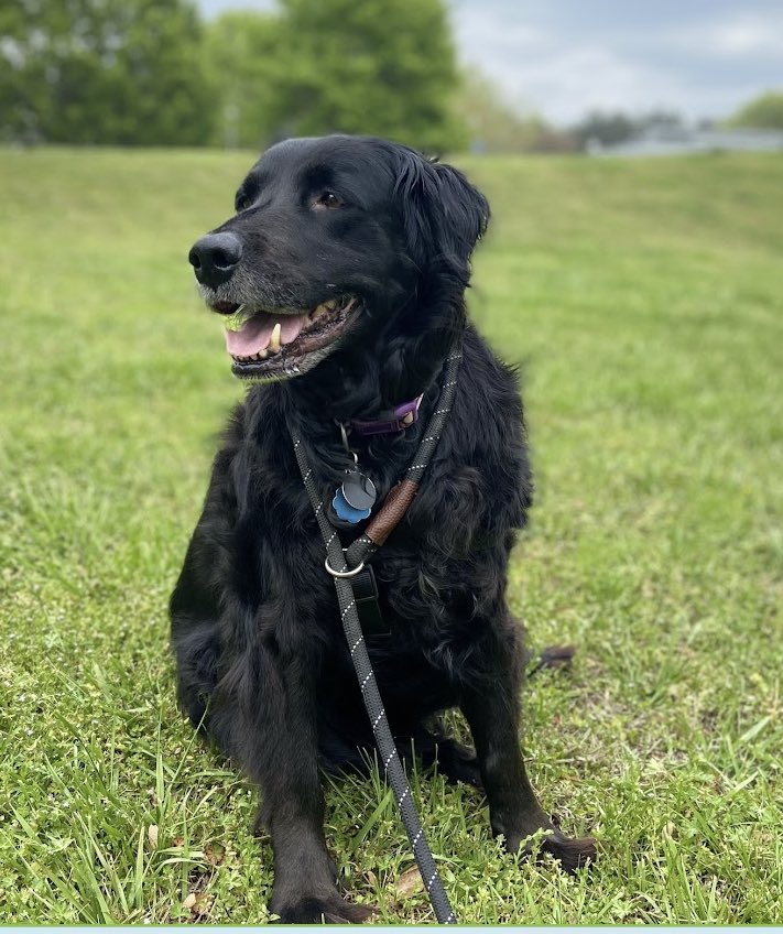 mills ⭕️ tweet media