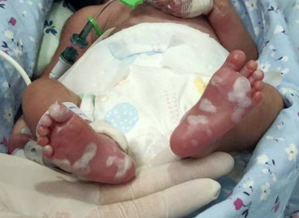 女たちのデータベース広場 tweet media