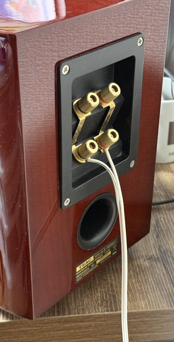 ぼつよん tweet media