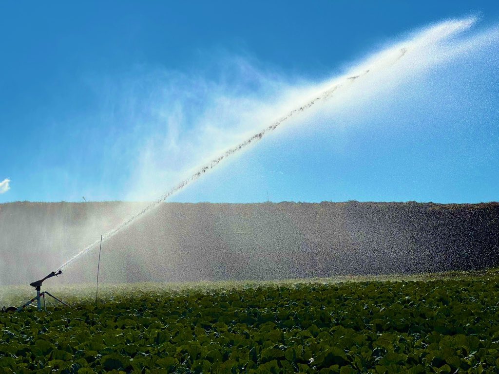 SITO.(シト) tweet media