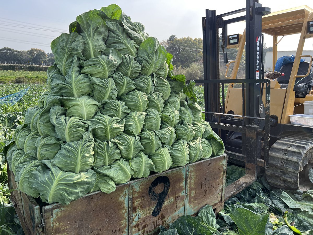 SITO.(シト) tweet media