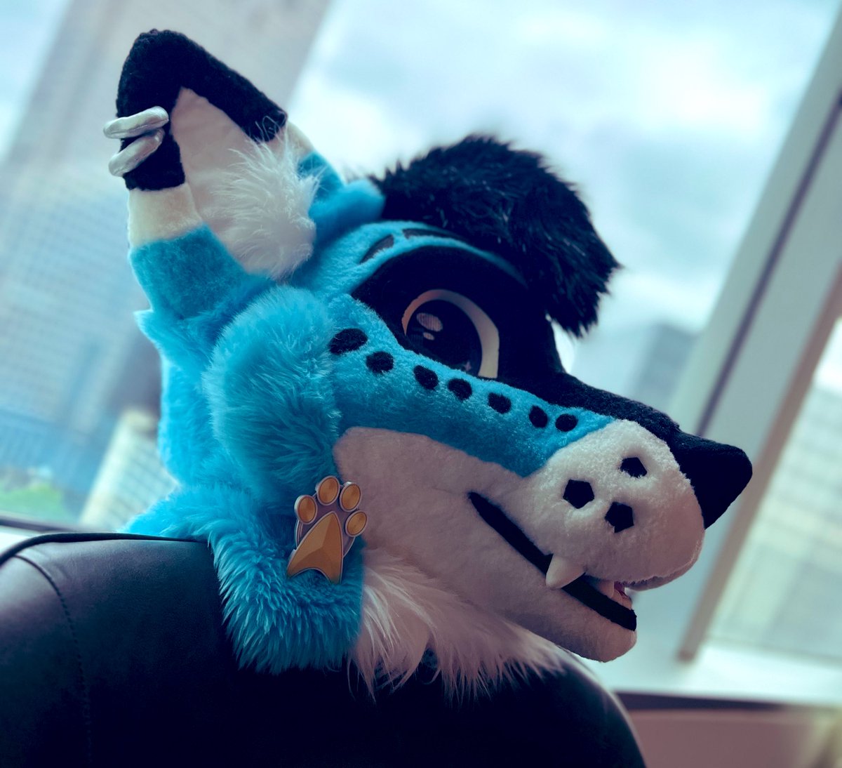 Kriegar Wolf tweet media