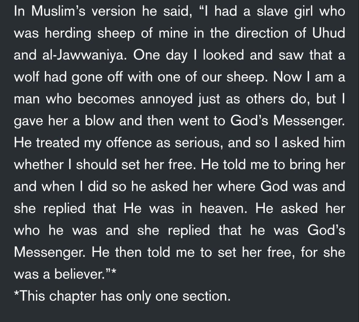 TheShiaView tweet media