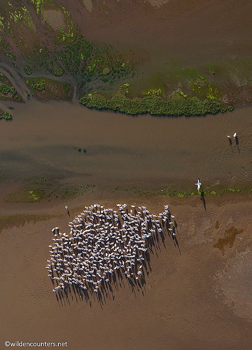 💪🏻 XPLUS tweet media