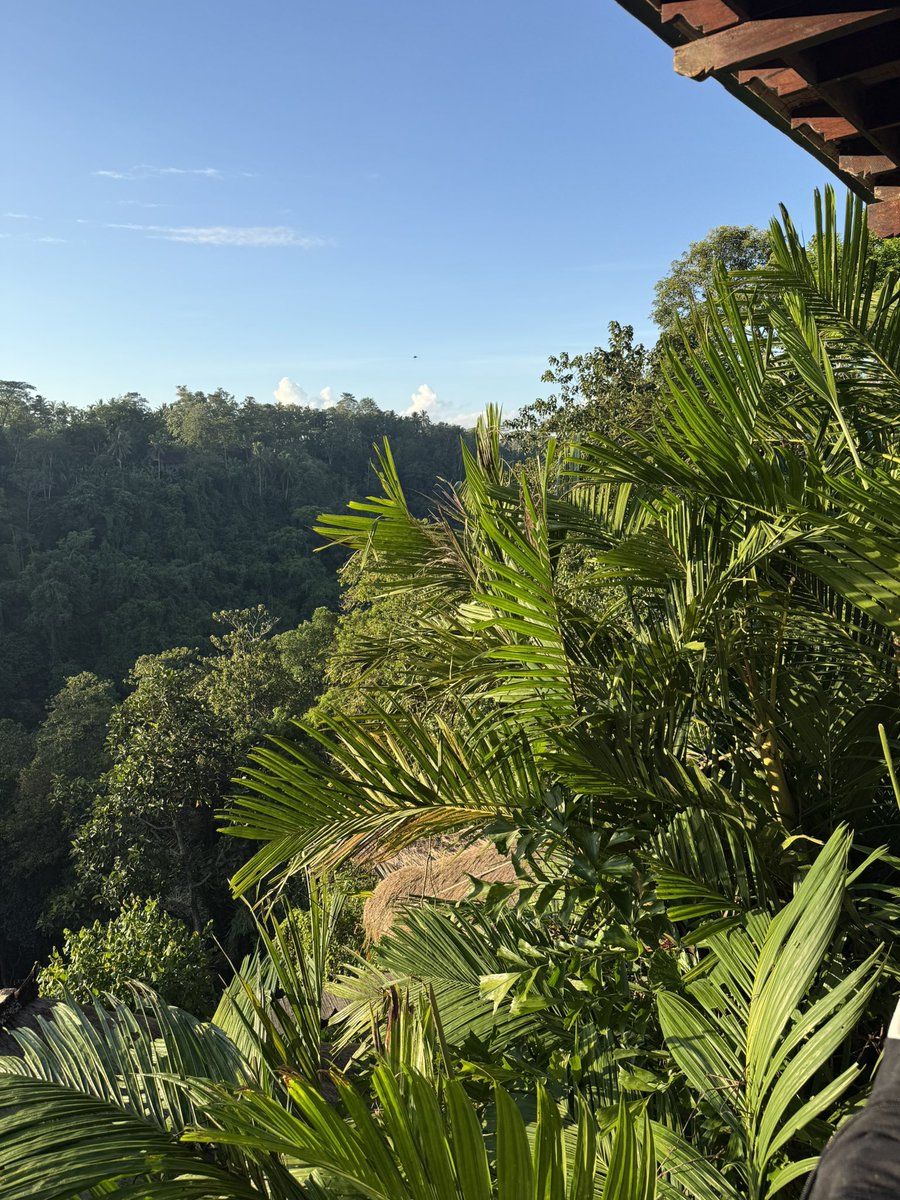 榎本晋作/未来学でイギリス大学院奮闘中🌏 tweet media