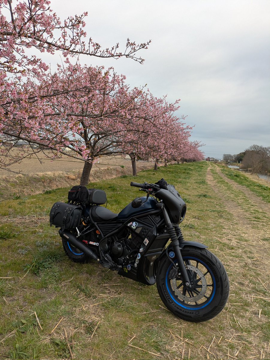 なべきち tweet media