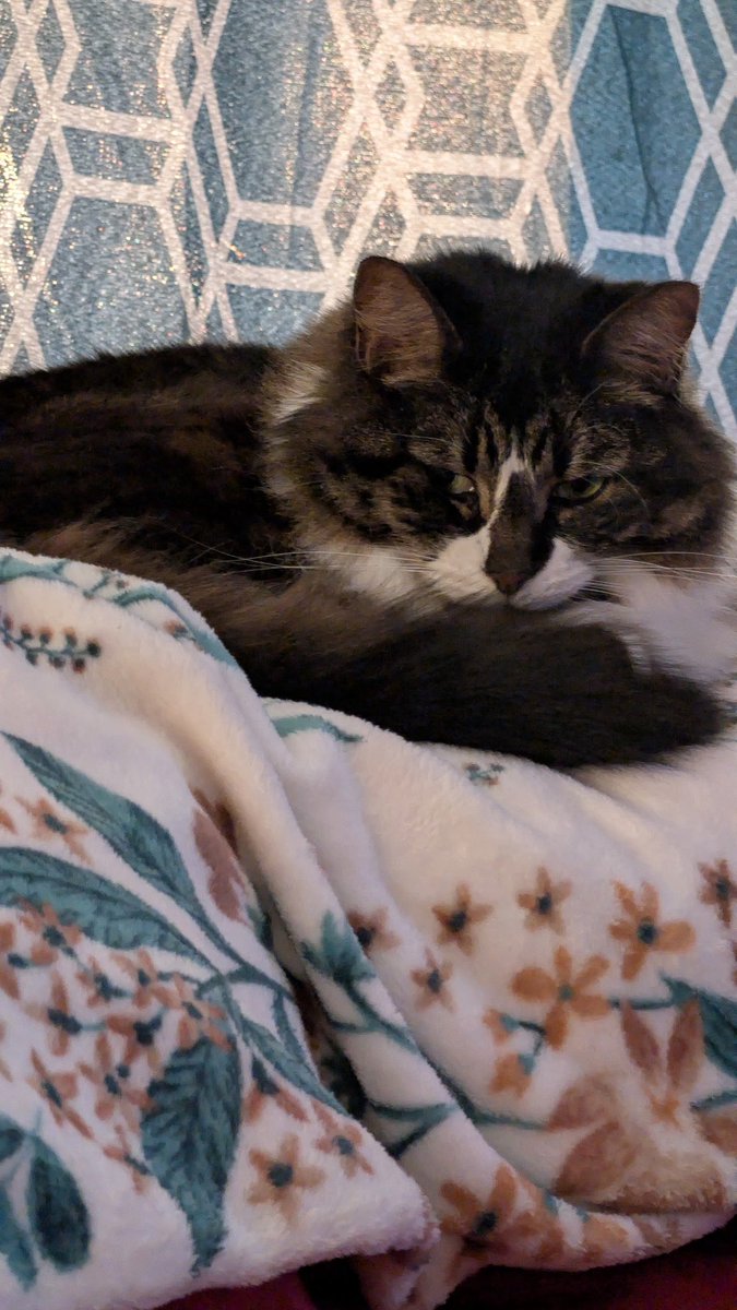 Alison Lawrence tweet media