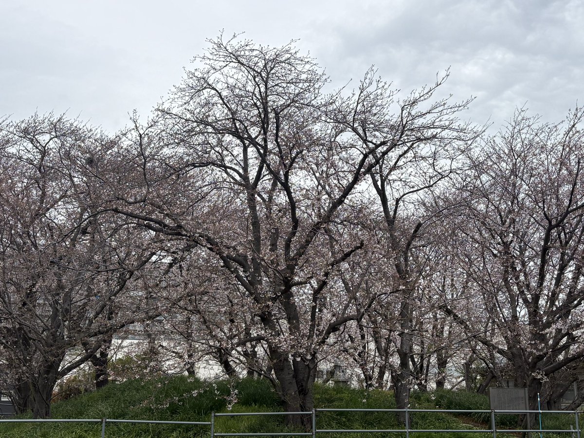 りょう tweet media