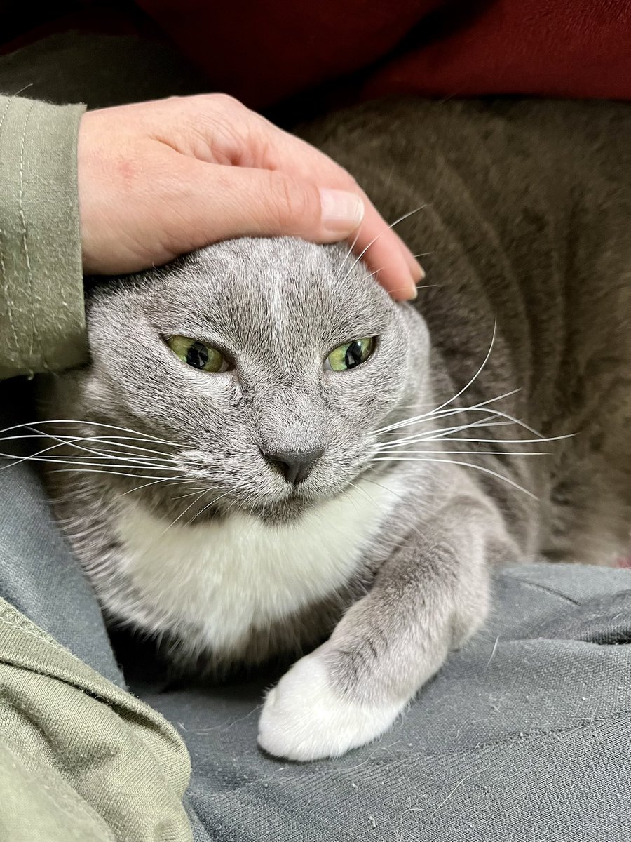 moegi0218@5/5.6 artevarie tweet media