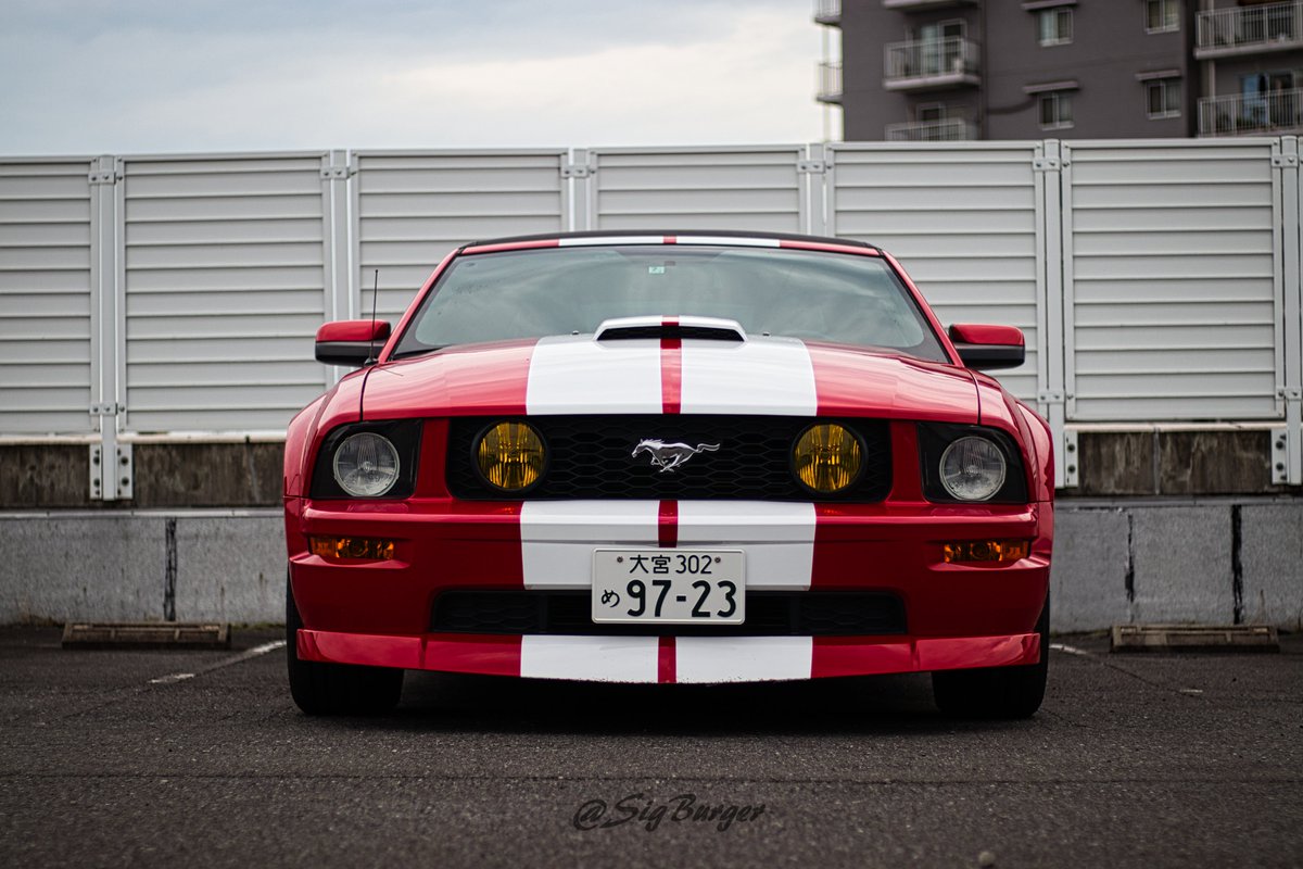 がんちゃん tweet media