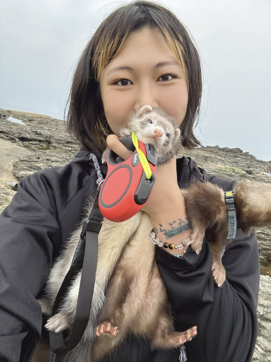 飯友らん子 tweet media