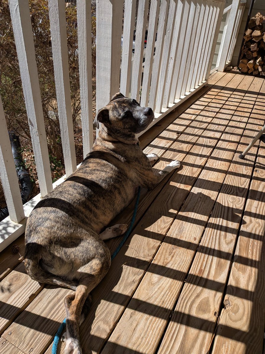 Jen the Muse ✂️🧚‍♀️🧵☕🍻 tweet media