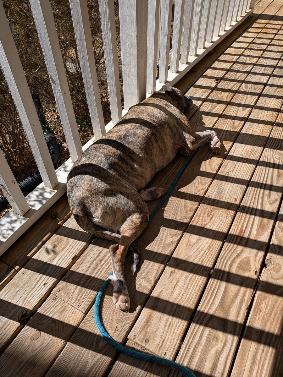 Jen the Muse ✂️🧚‍♀️🧵☕🍻 tweet media