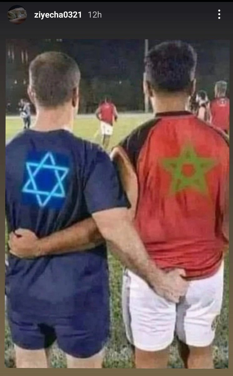 HakunaMatata tweet media