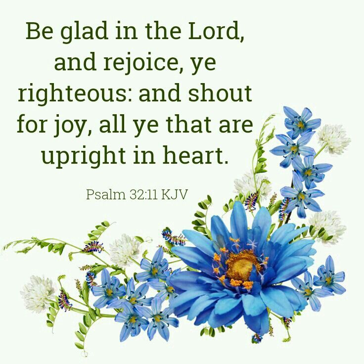 Connie Cline tweet media