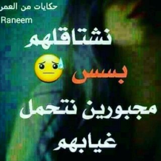 طائر الغدير tweet media