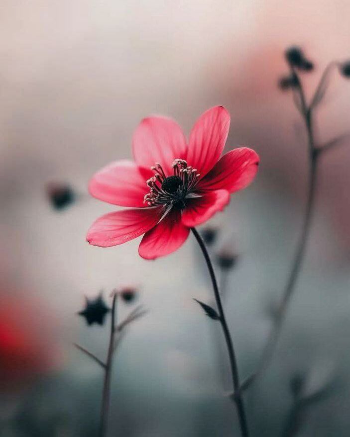 um abdulrahman💙🇸🇦 tweet media