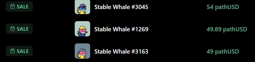 Ram-Z 🍊,💊 tweet media