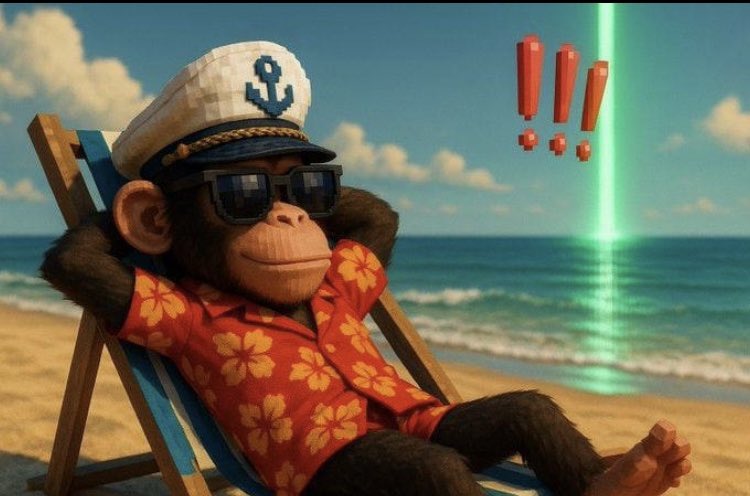 BonkBurnGuy tweet media