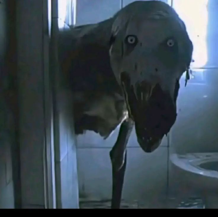 MIA 🏳️‍⚧️ tweet media