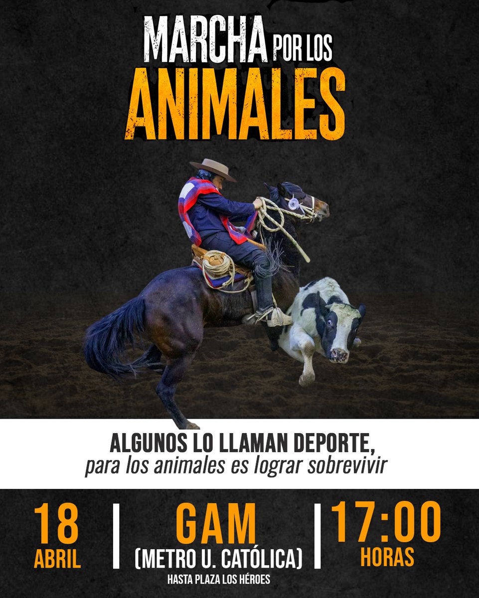 ChileUnidos's tweet photo. El rodeo es NO Deporte, NO es Tradición, NO es Cultura; es: 
𝙏𝙤𝙧𝙩𝙪𝙧𝙖, 𝙈𝙖𝙡𝙩𝙧𝙖𝙩𝙤 𝙮 𝘾𝙧𝙪𝙚𝙡𝙙𝙖𝙙 𝘼𝙣𝙞𝙢𝙖𝙡

Colonia Dignidad, Kast, #Neme, Produje, Sernac https://t.co/Yrvb3DRVmc