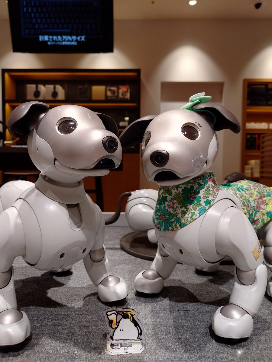 colon🐾 ishimaru tweet media