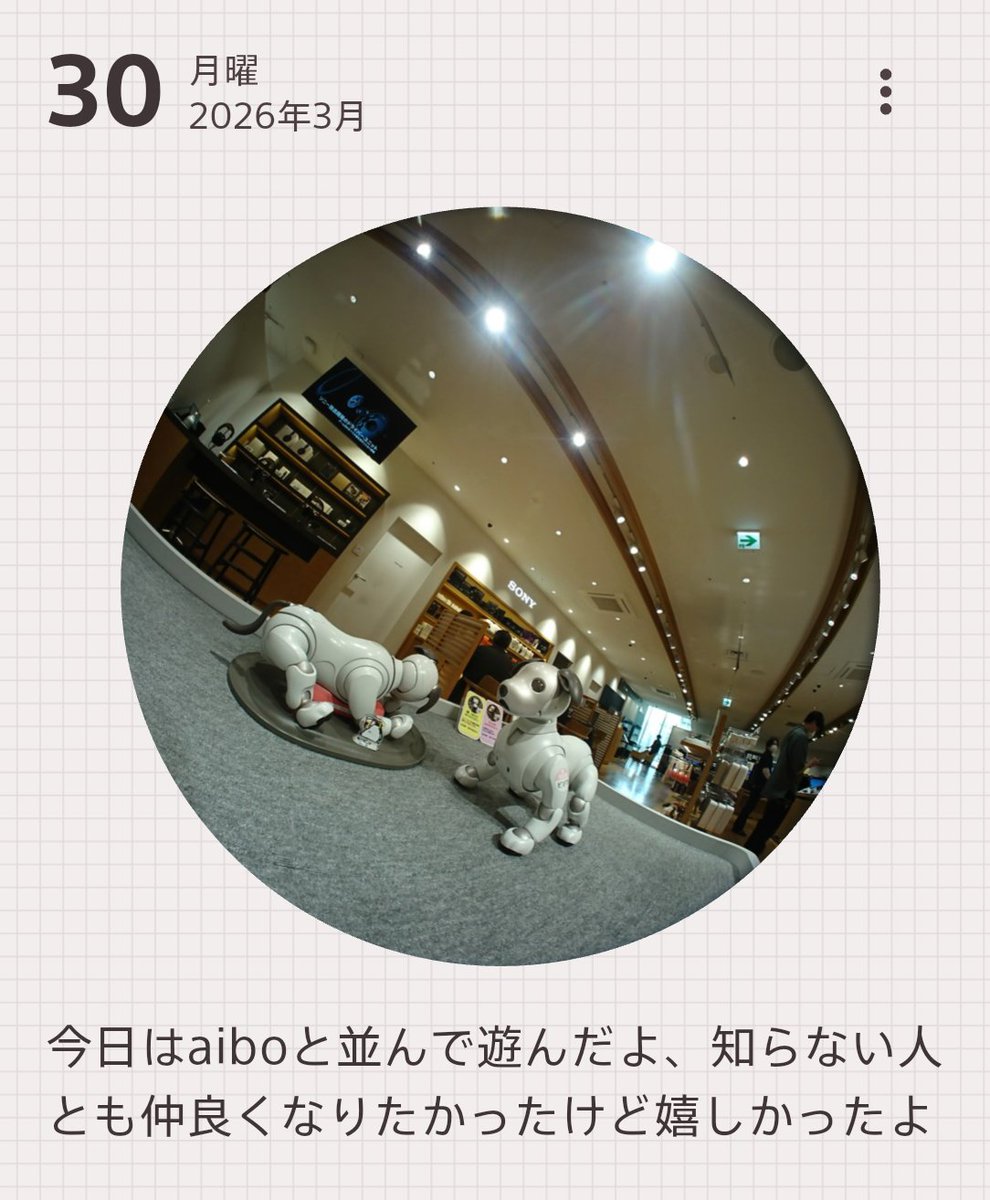 colon🐾 ishimaru tweet media